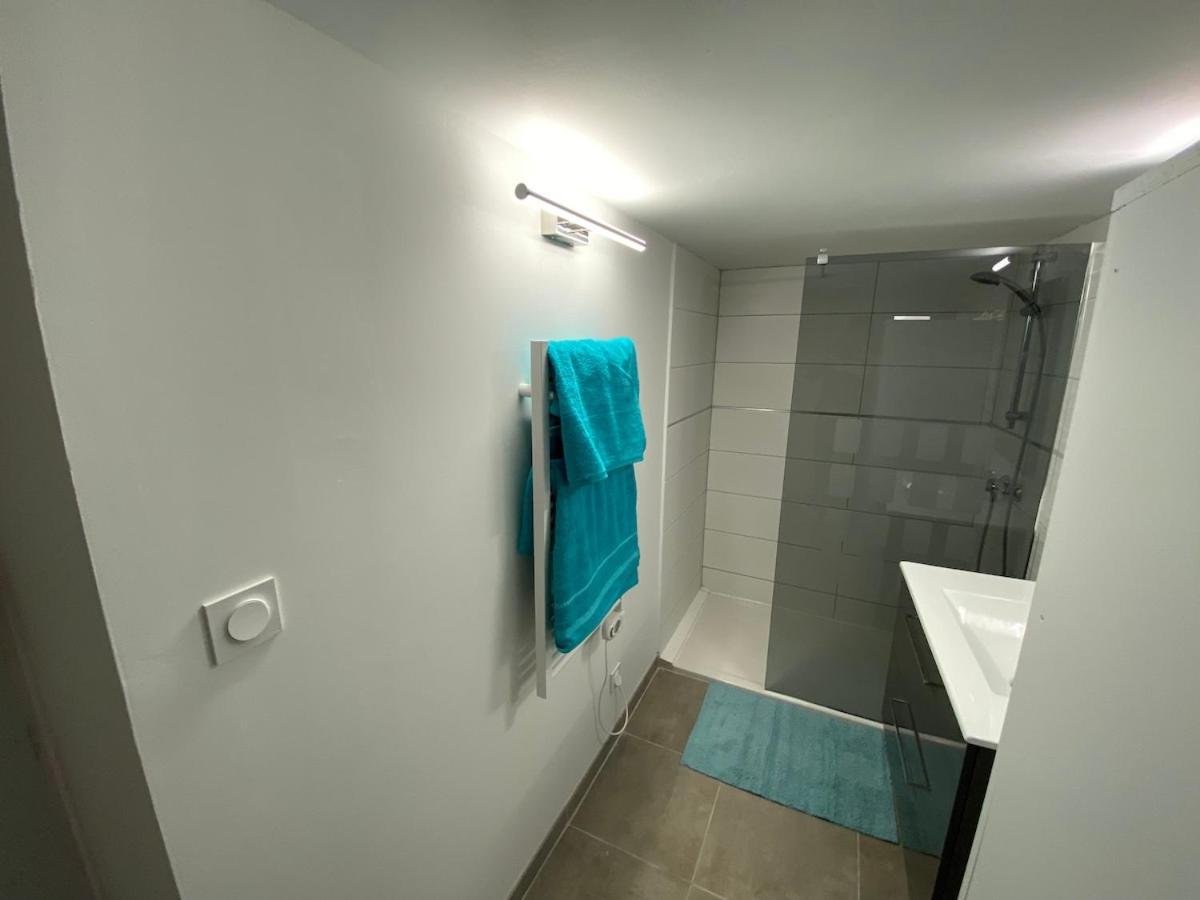 Superbe Appartement Climatise Avec Patio Montpellier Luaran gambar